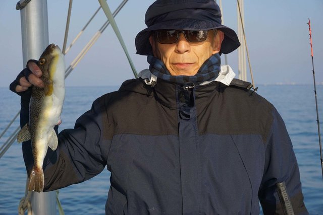 ショウサイフグ