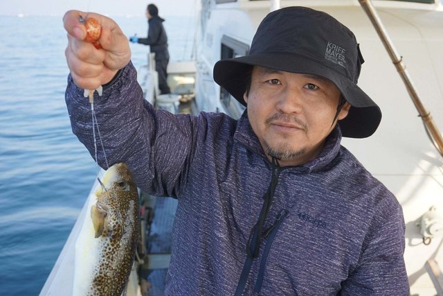 ショウサイフグ