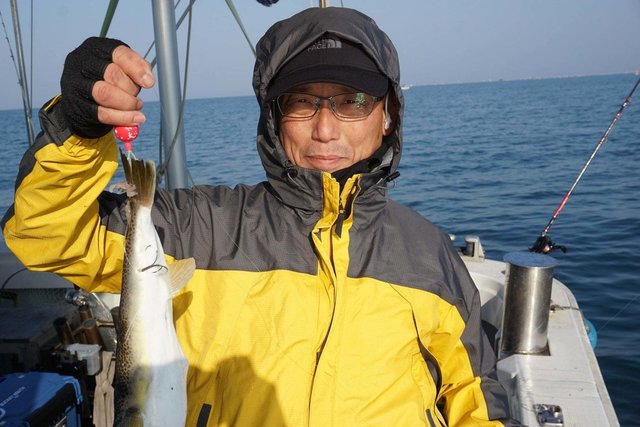 ショウサイフグ