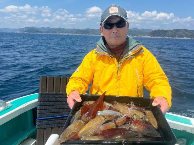 マルイカ(ケンサキイカ)