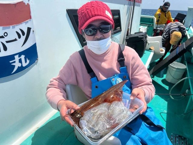 マルイカ(ケンサキイカ)・ヤリ(ヤリイカ)