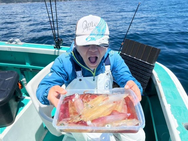 マルイカ(ケンサキイカ)