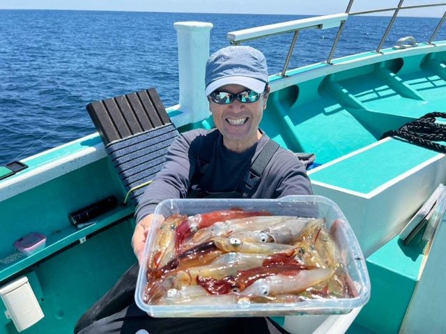 マルイカ(ケンサキイカ)