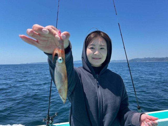 マルイカ(ケンサキイカ)