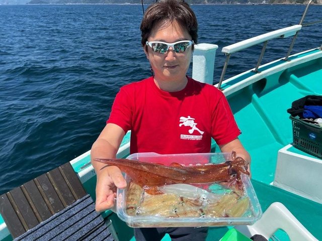 マルイカ(ケンサキイカ)・ヤリイカ