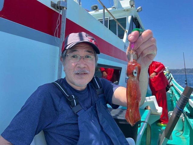 マルイカ(ケンサキイカ)