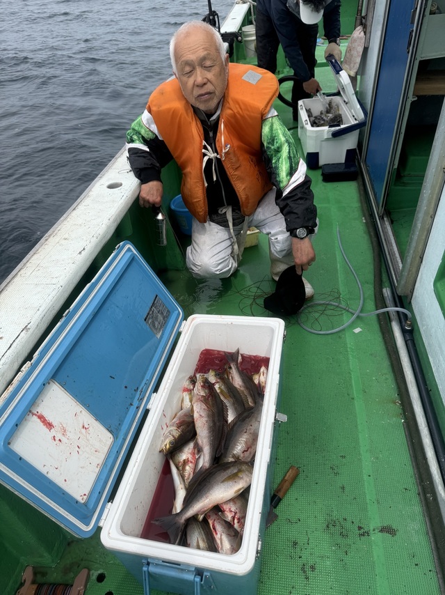 イサギ(イサキ)