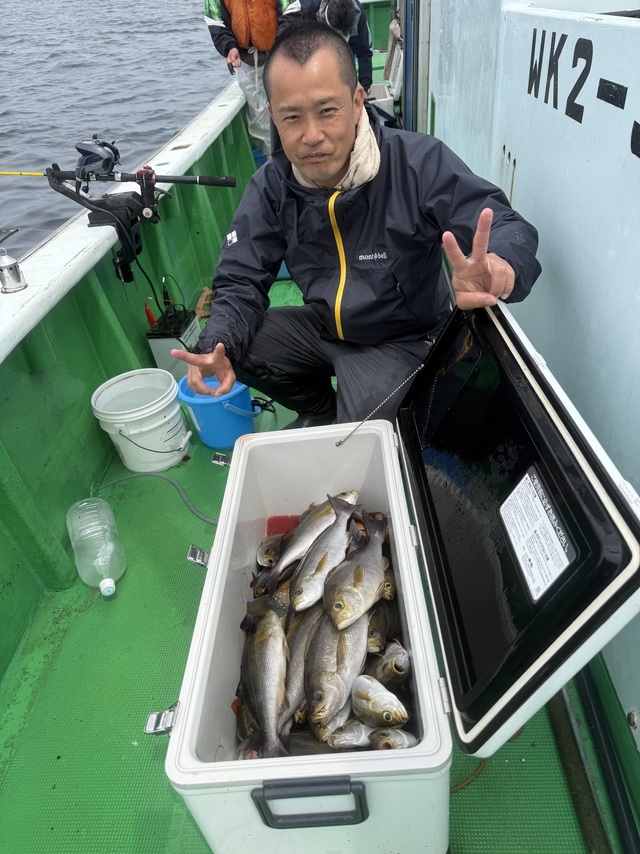 イサギ(イサキ)