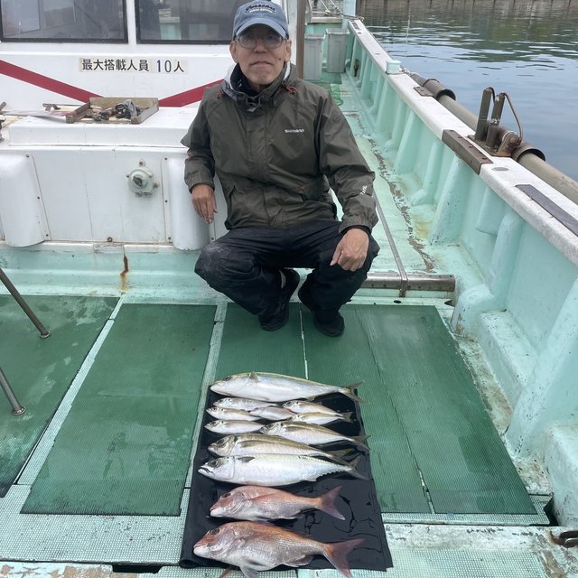 マダイ・マアジ・ドンバク(メアジ)・ハマチ(ブリ)・マサバ