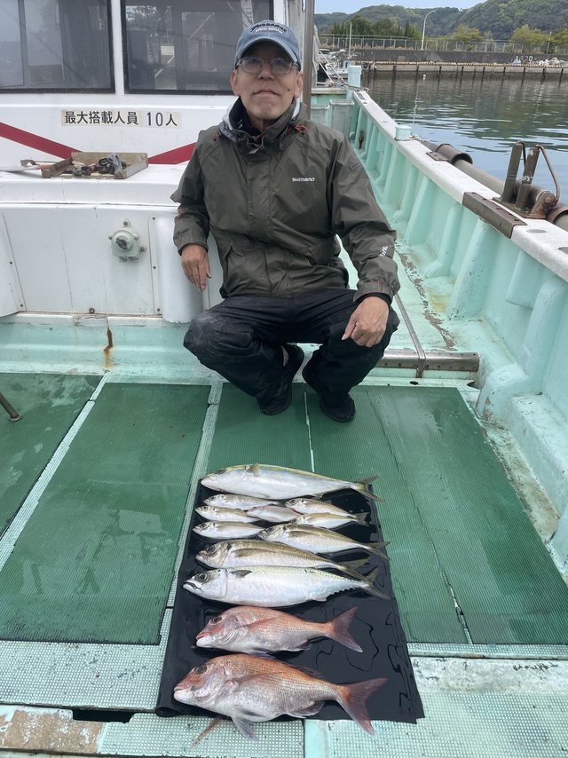 マダイ・マアジ・ドンバク(メアジ)・ハマチ(ブリ)・マサバ