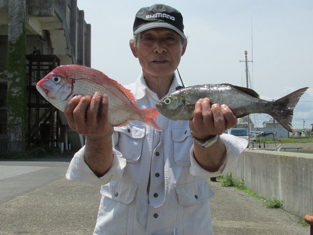 ハナダイ(チダイ)