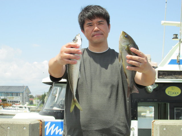 アジ(マアジ)・イサキ