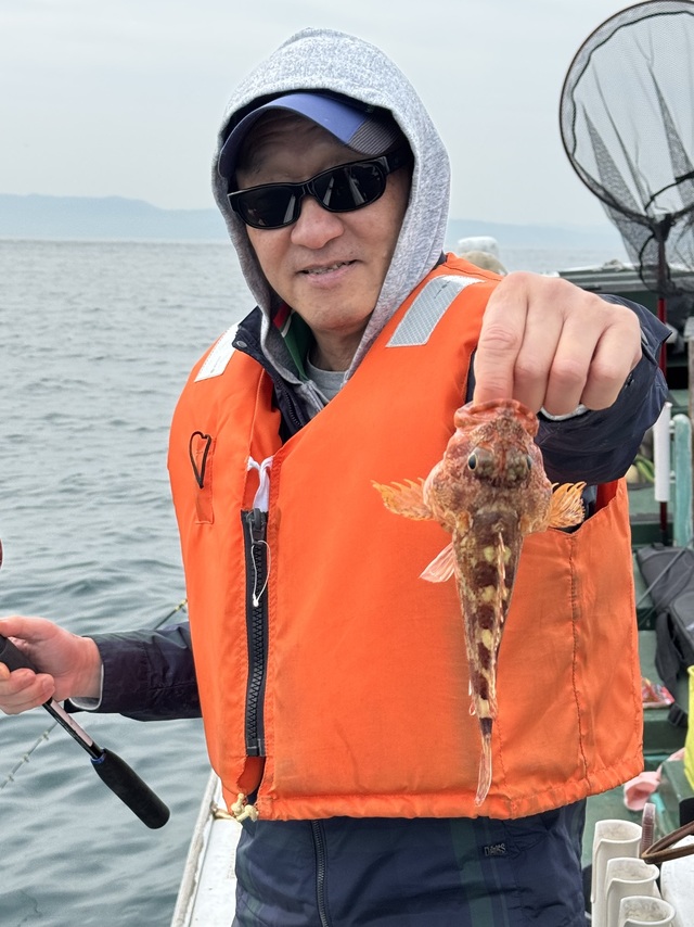 ガシラ(カサゴ)