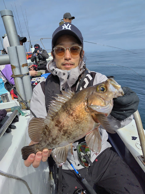 クロメバル(メバル)