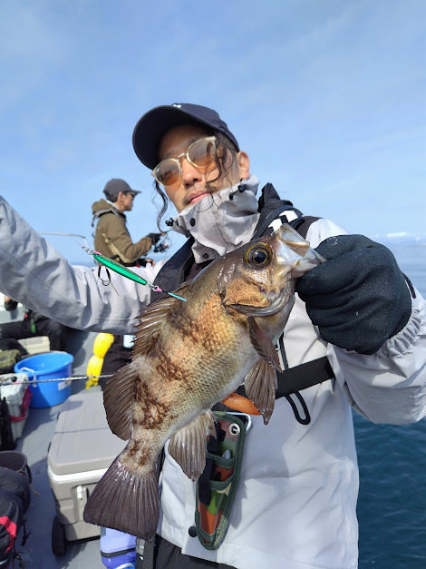 クロメバル(メバル)