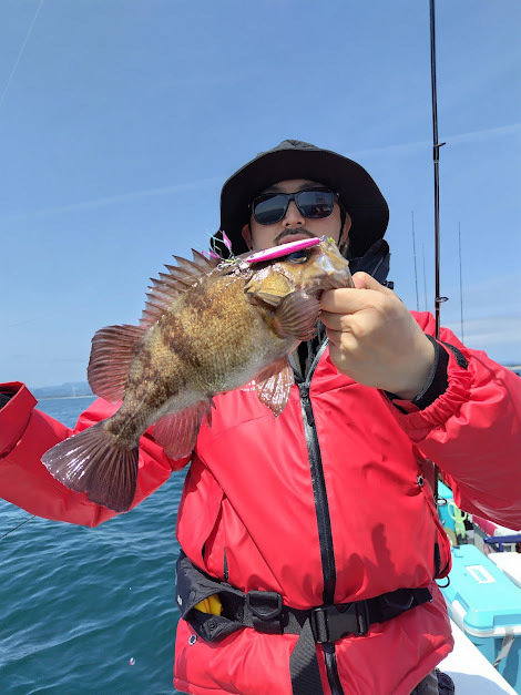 クロメバル(メバル)