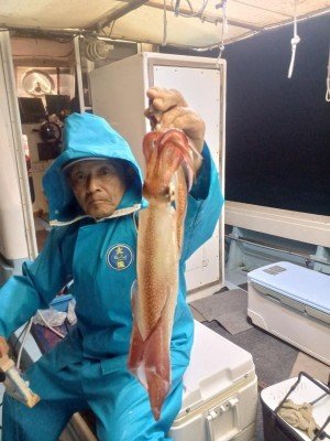 ヤリイカ・スルメイカ