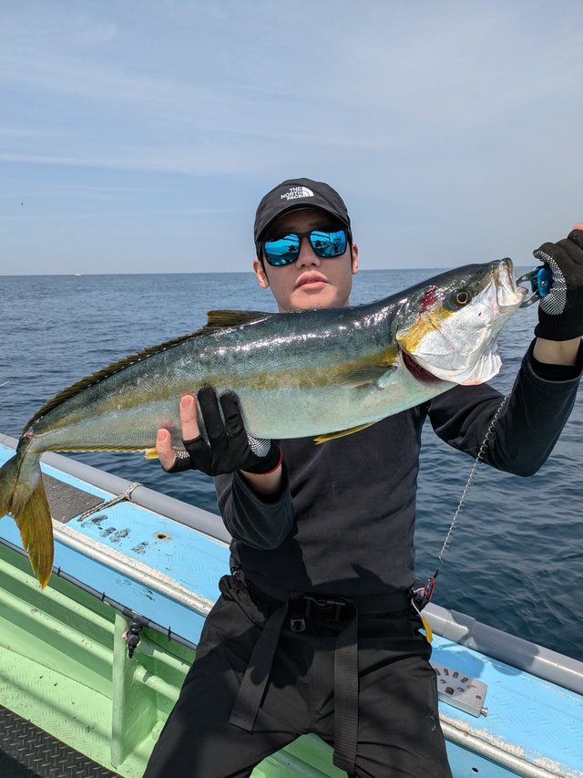 ヒラス(ヒラマサ)