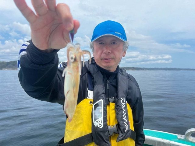 マルイカ(ケンサキイカ)