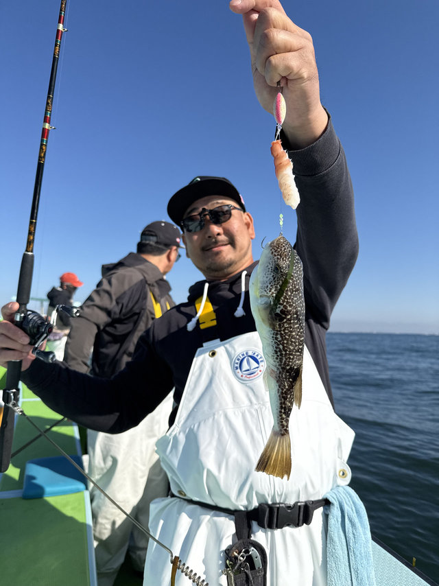 フグ(ショウサイフグ)