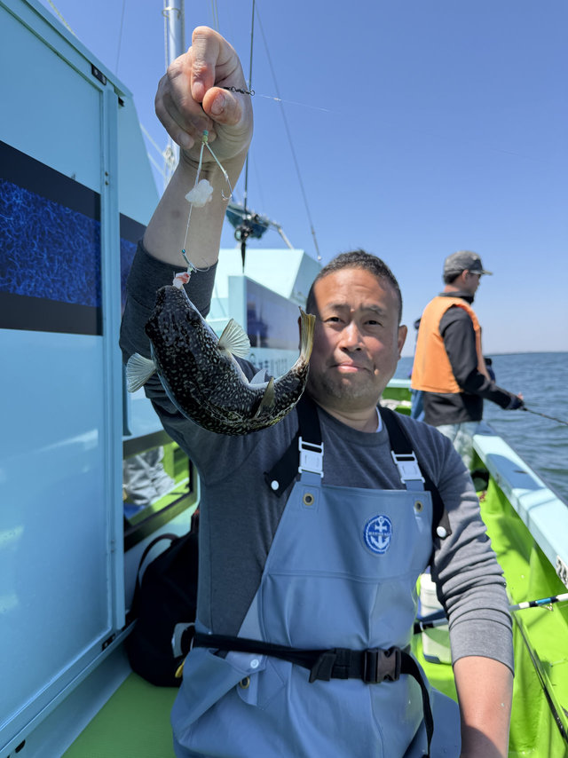 フグ(ショウサイフグ)