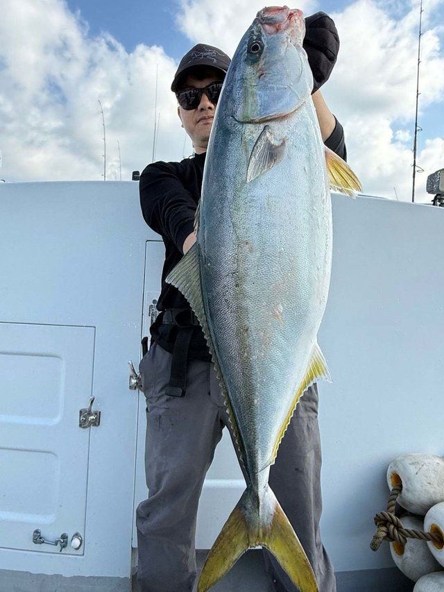 サンパク(ブリ)