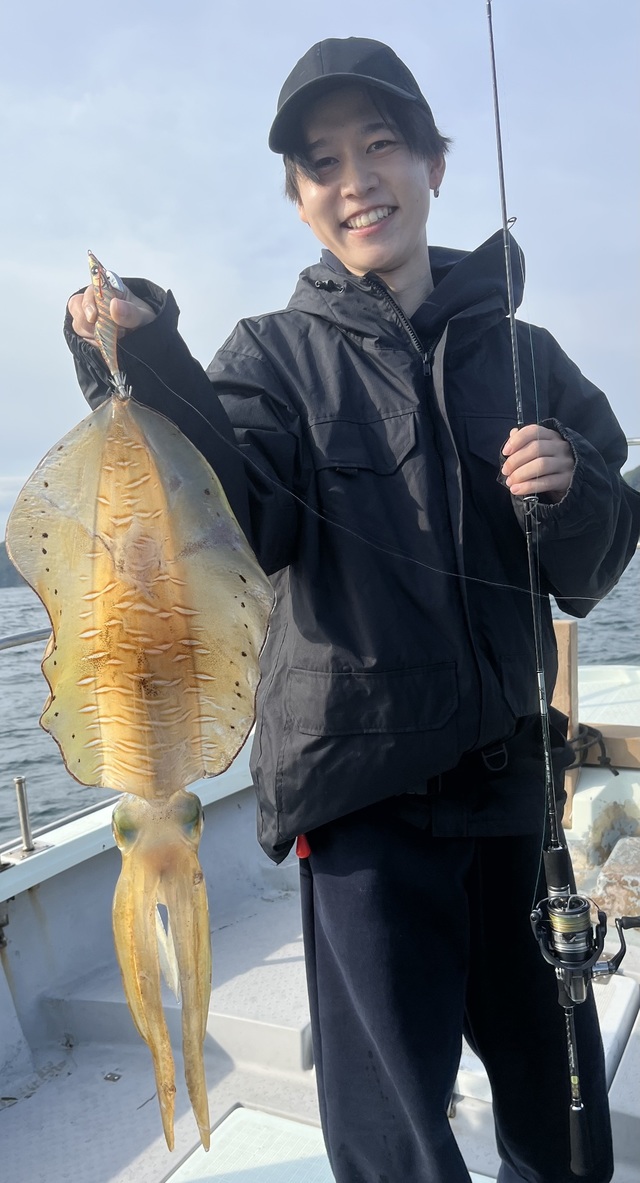 イカ(アオリイカ)