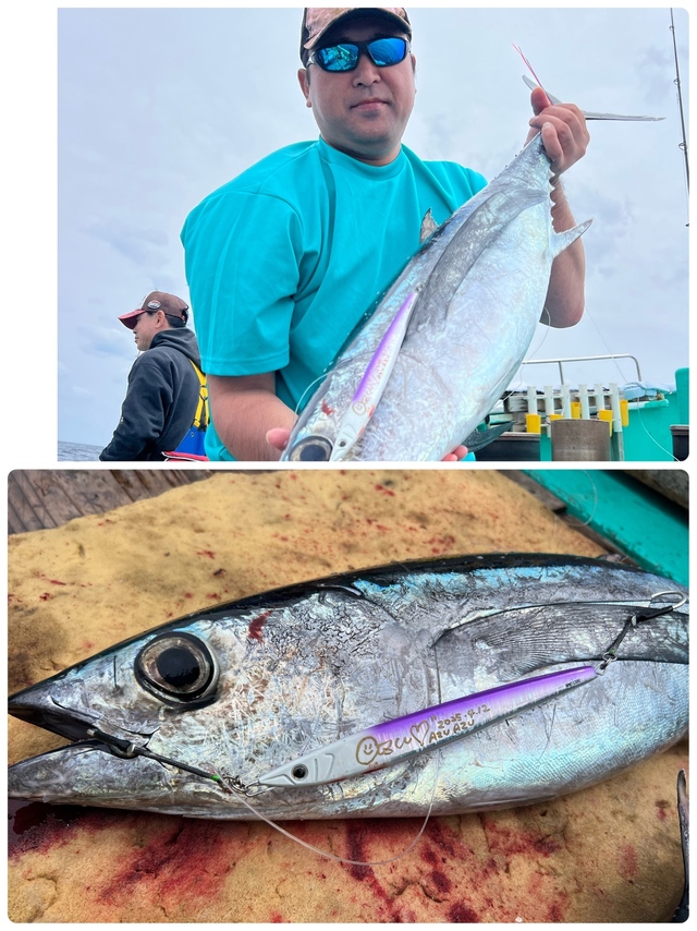 ビンチョウマグロ(ビンナガ)