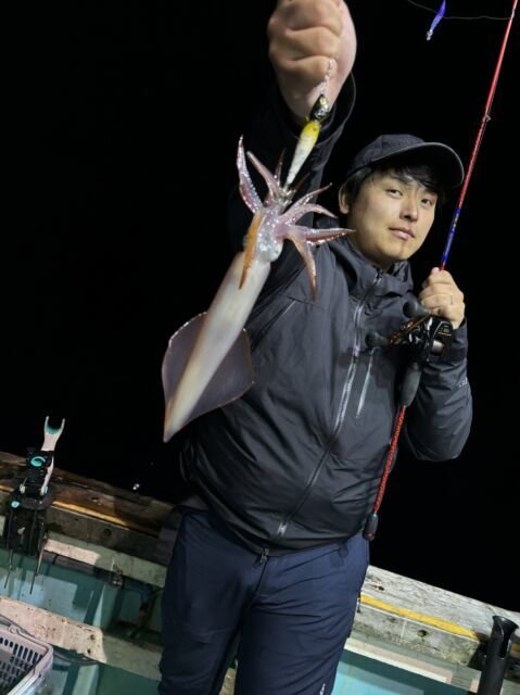 イカ(ケンサキイカ)