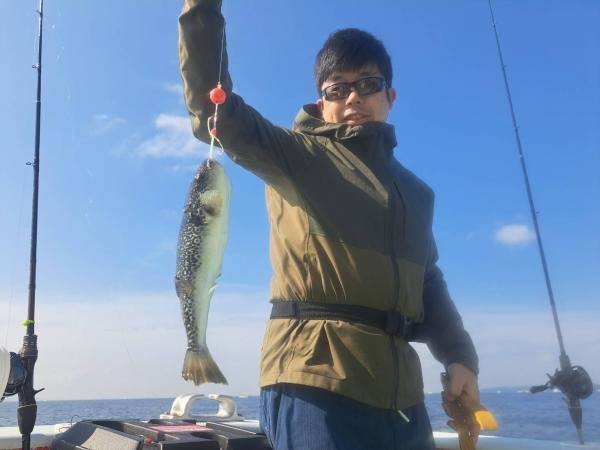 ショウサイフグ