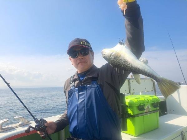 ショウサイフグ