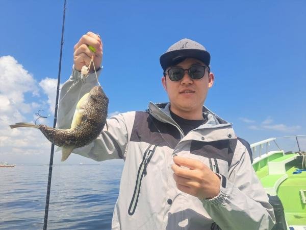 ショウサイフグ