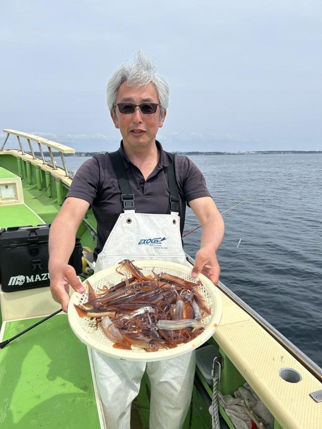 ムギイカ(スルメイカ)