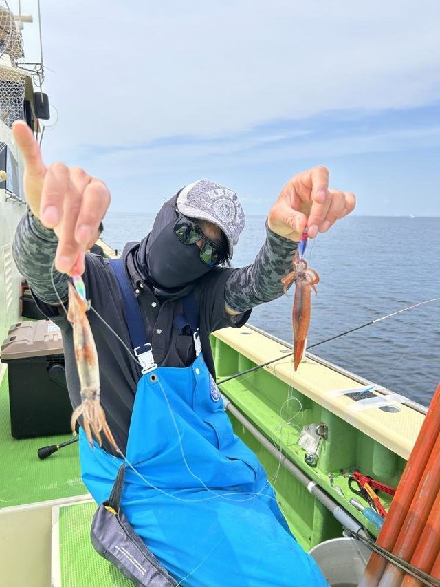 ムギイカ(スルメイカ)