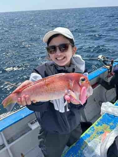 アマダイ(アカアマダイ)