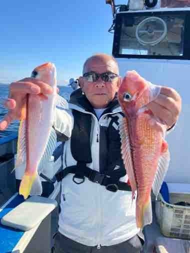 アマダイ(アカアマダイ)