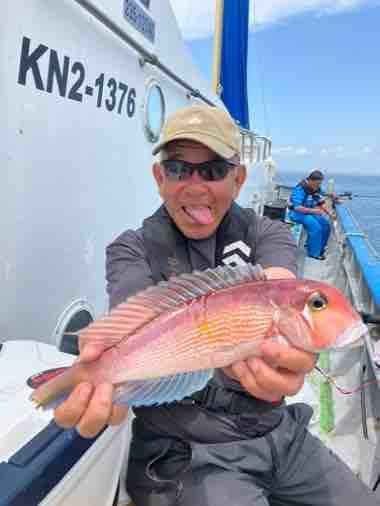 アマダイ(アカアマダイ)