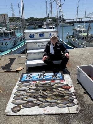 イサギ(イサキ)