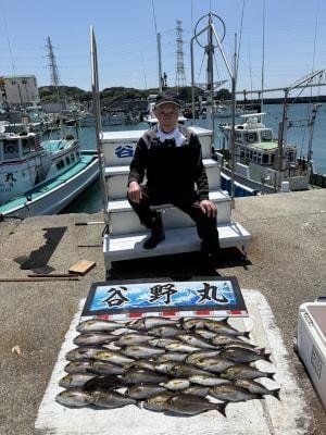 イサギ(イサキ)