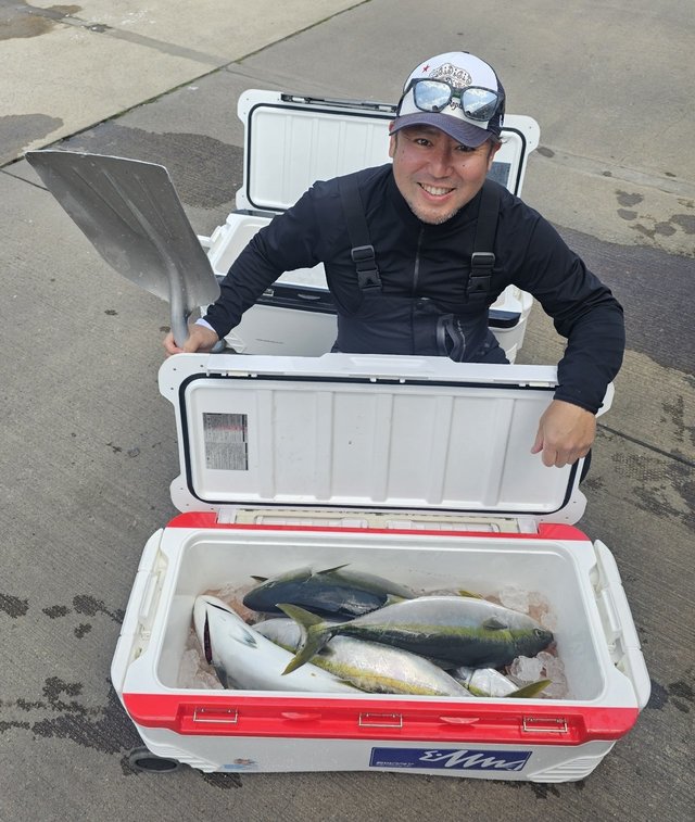 ワラサ(ブリ)・ヒラマサ