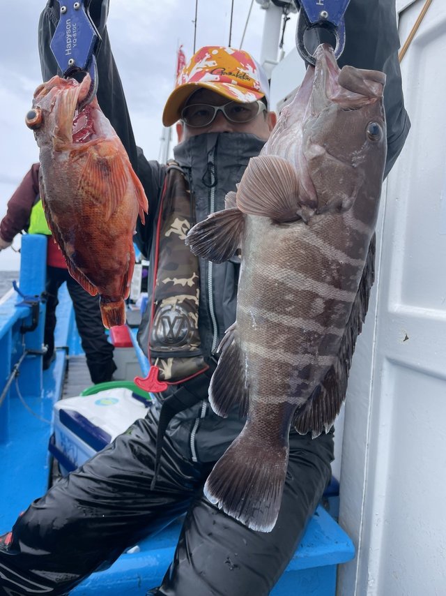 マハタ・カサゴ