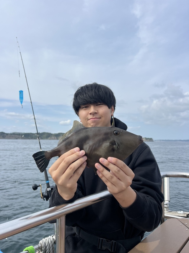 ウマズラハギ(ウマヅラハギ)