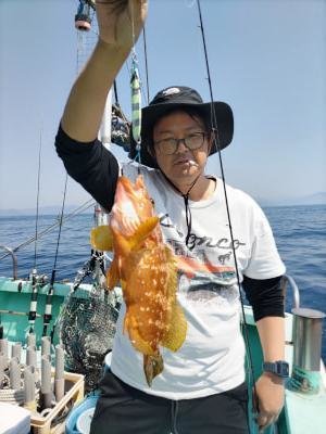 ガシラ(カサゴ)