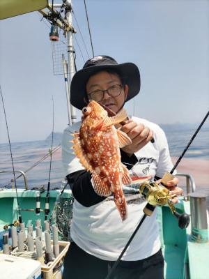 ガシラ(カサゴ)