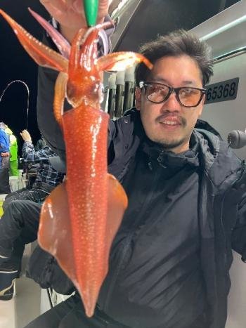 マイカ(ケンサキイカ)