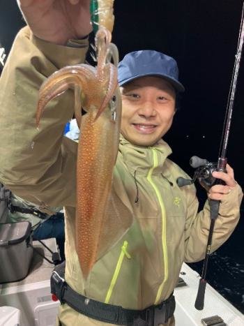 マイカ(ケンサキイカ)