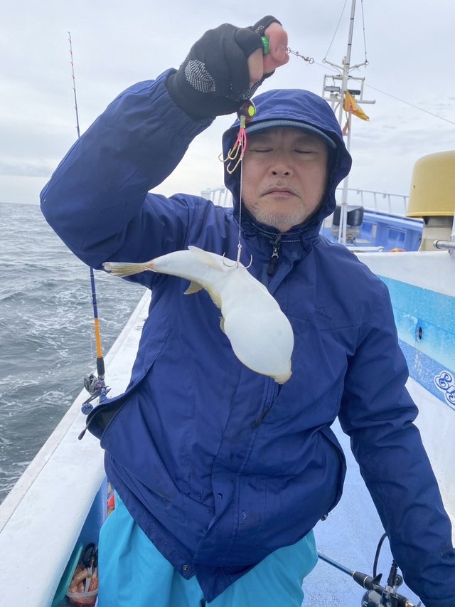 ショウサイフグ