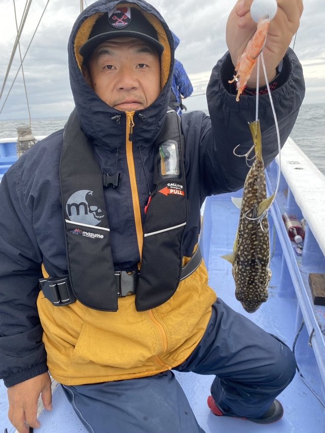 ショウサイフグ