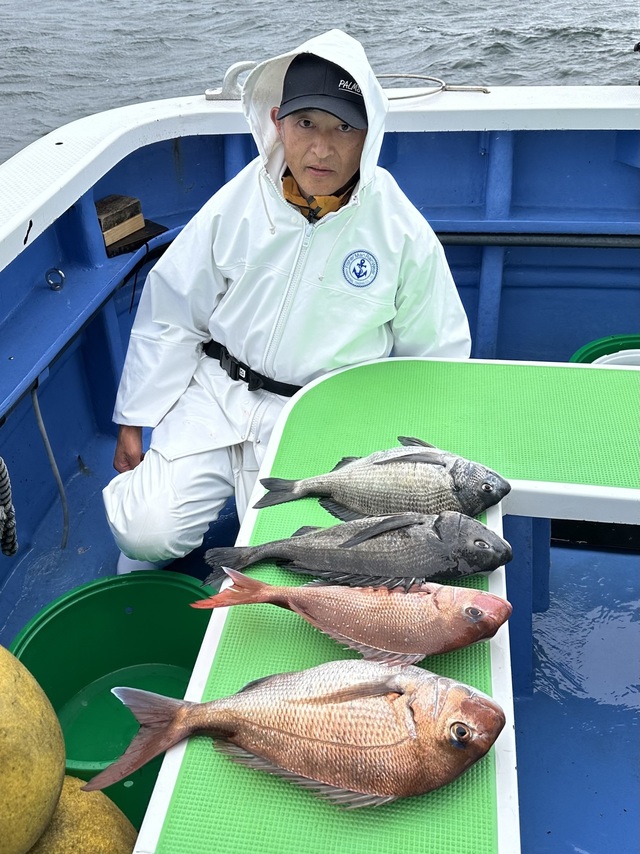 マダイ・クロダイ