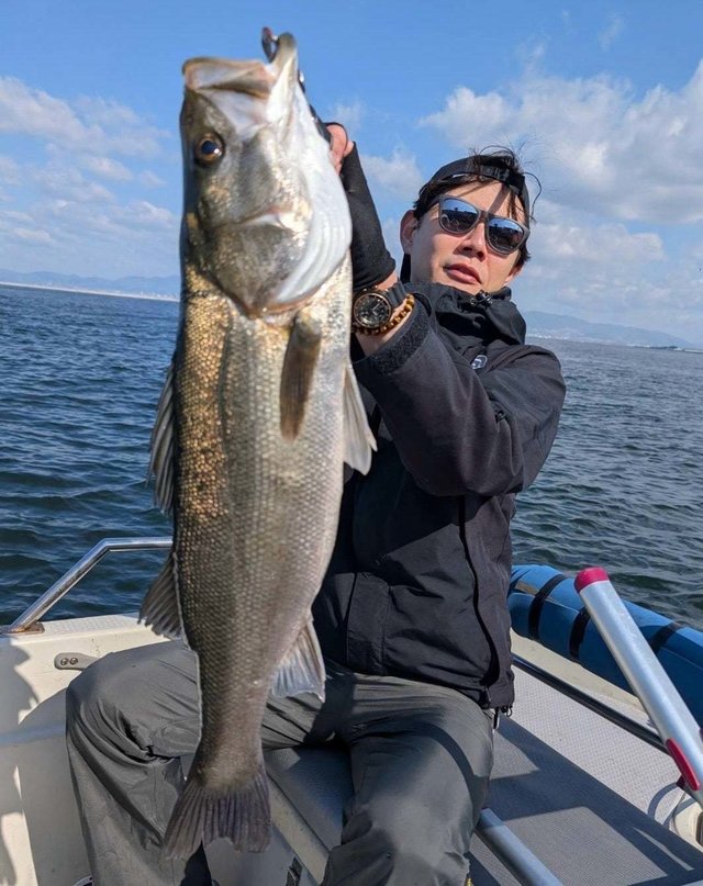 シーバス(スズキ)